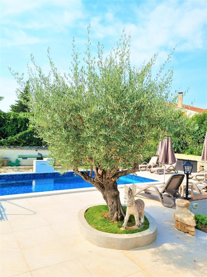 פורץ Apartment Villa Engel With Pool מראה חיצוני תמונה